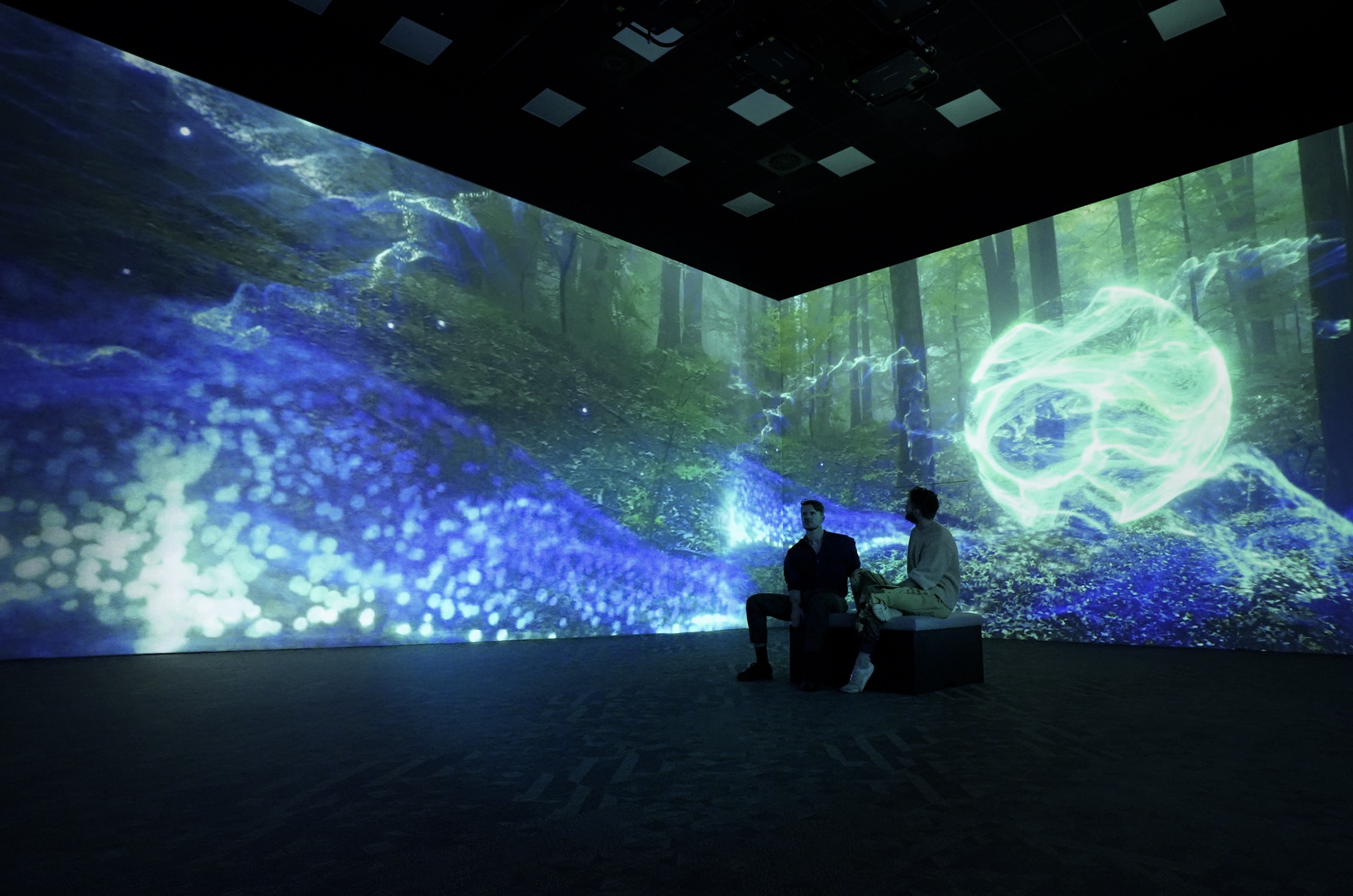 Commissioners and artists